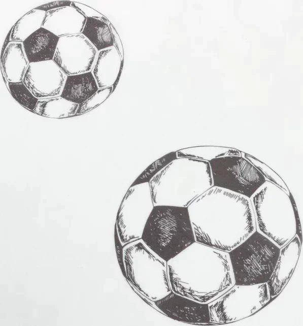 Комплект тюлей "Этель" Goal, 145*260 см-2 шт, 100% п/э