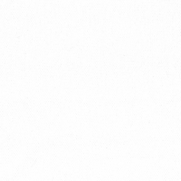 Вельвет Белый 10810