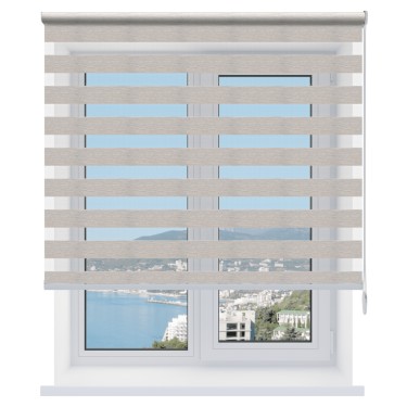 Рулонная штора День-ночь Dalin серый